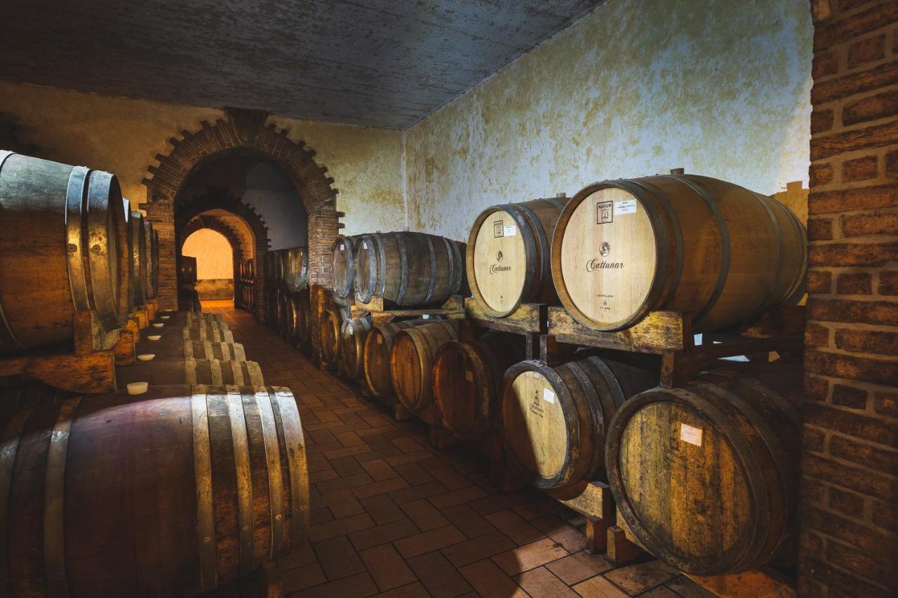 Wine Residence Cattunar Бртонигла Екстер'єр фото