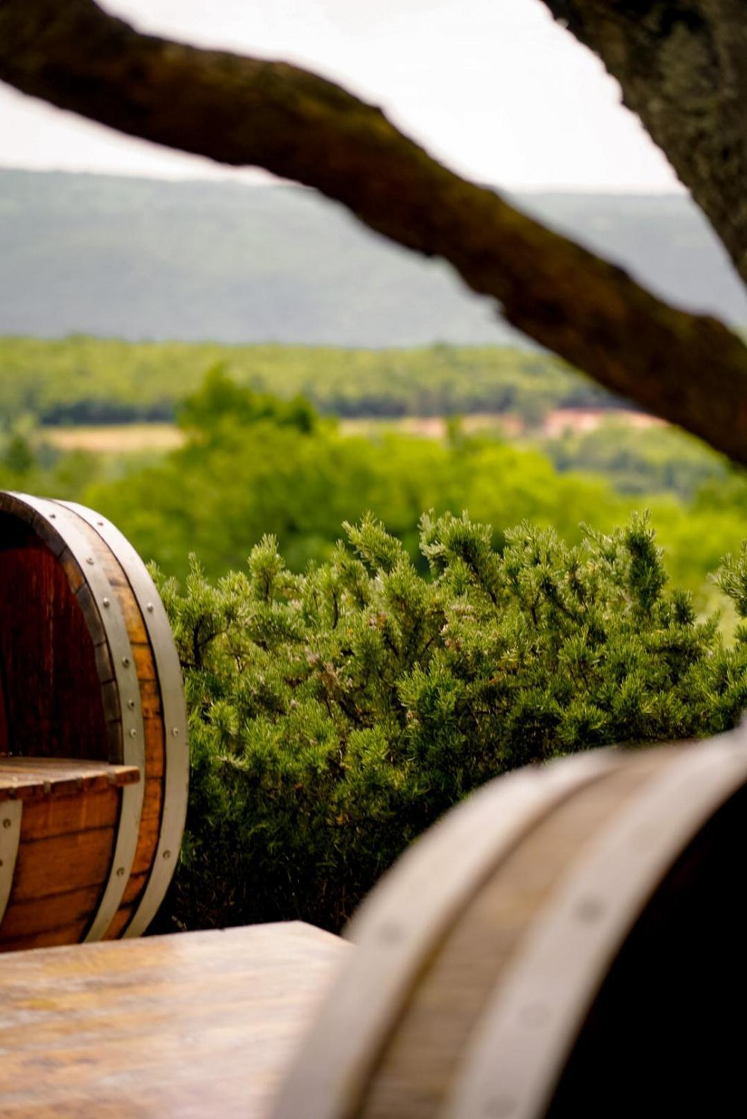 Wine Residence Cattunar Бртонигла Екстер'єр фото